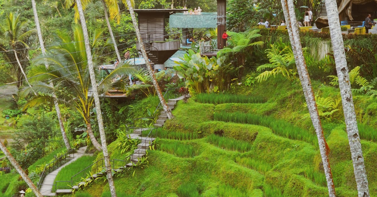 Community Health Clinics: A Guide for Villa Residents