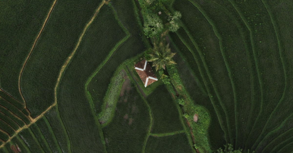 Exclusive Resorts: Luxury Long-Term Villas in Bali