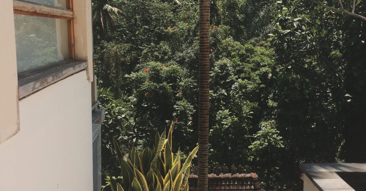 Neighborhood Gatherings: Building Connections in Your Area