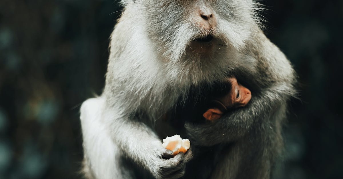 Nightlife Hotspots Within Walking Distance of Villas in Bali