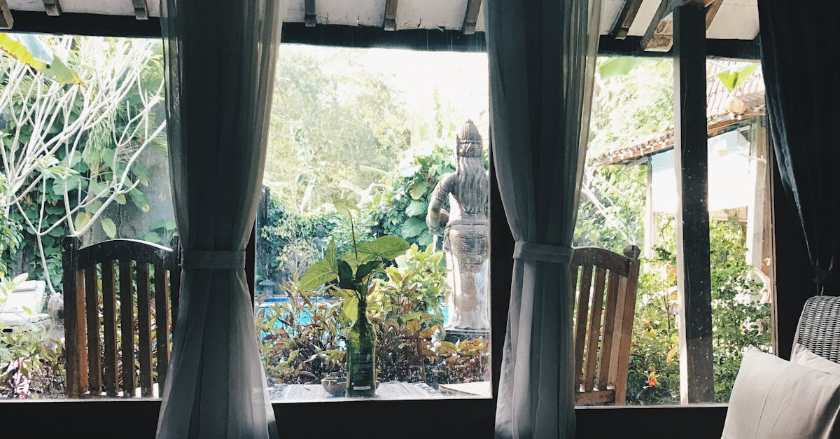 Popular Cafés and Coffee Shops for Long-Term Villa Dwellers in Bali