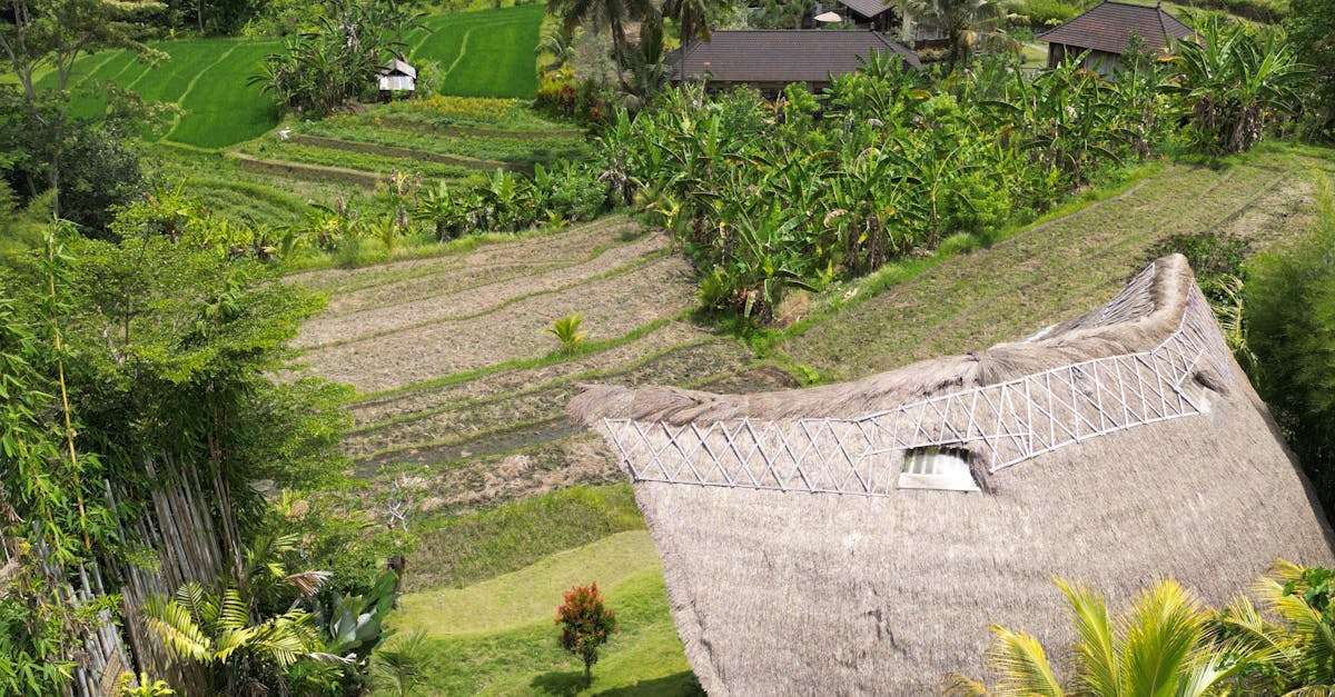 Understanding the Timeframe for Villa Rental Applications in Bali